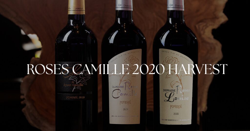 roses camille pomerol harvest 2020