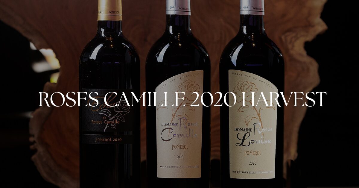 roses camille pomerol harvest 2020