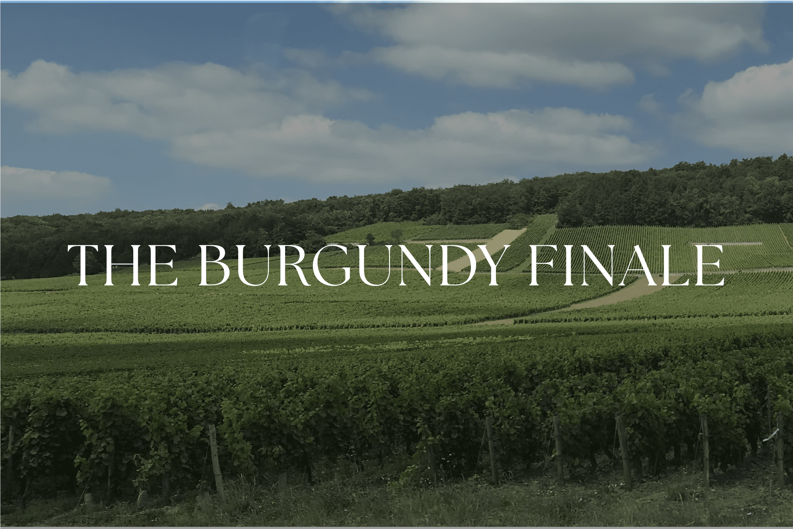 Kosher Burgundy Wine