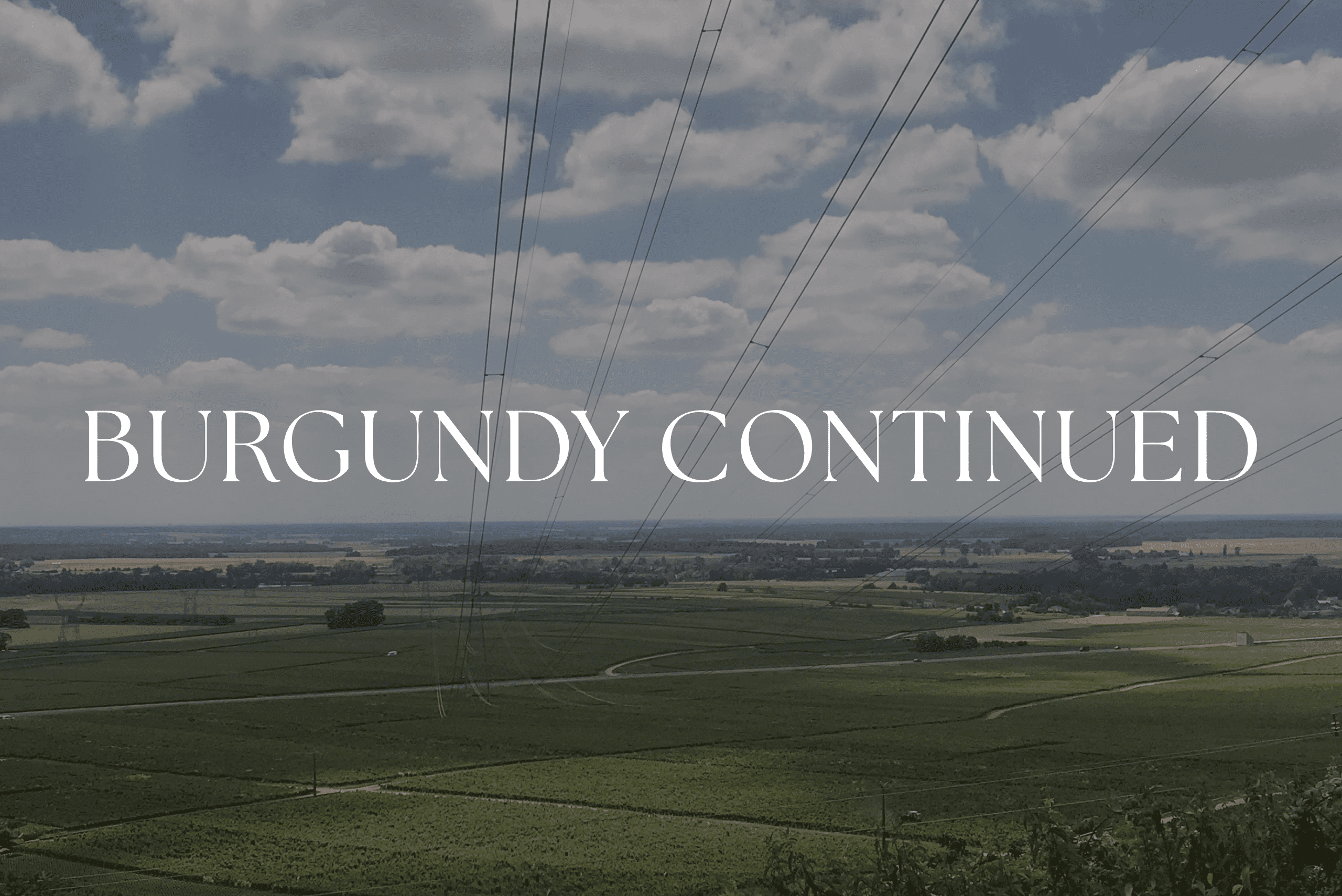 Kosher Burgundy Wine