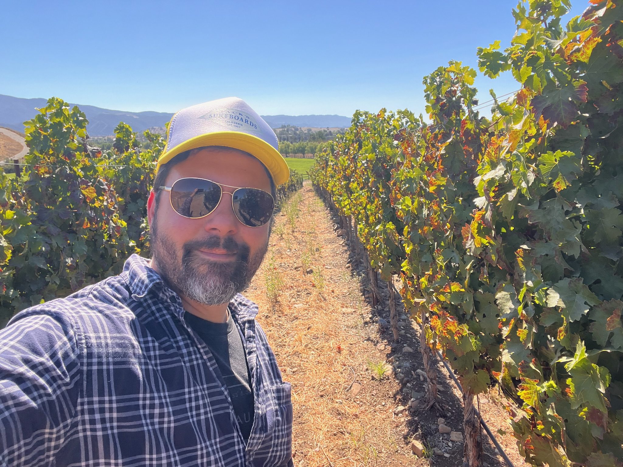 Joshua Klapper Timbre Winery